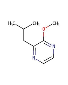 Astatech 2-ISOBUTYL-3-METHOXYPYRAZINE; 100G; Purity 97%; MDL-MFCD00006128